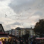 IMG_0282
