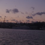 P1018527